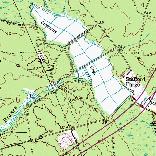 Topographic Map of Rail Branch, NJ