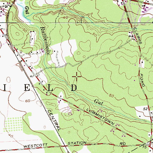 Topographic Map of Rattlesnake Gut, NJ