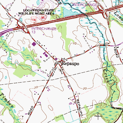 Topographic Map of Repaupo, NJ