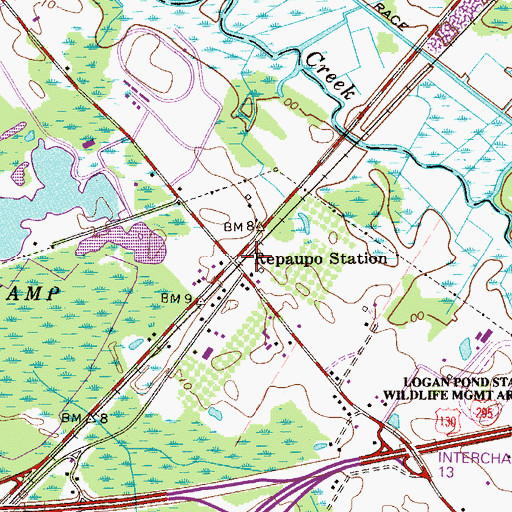 Topographic Map of Repaupo Station, NJ