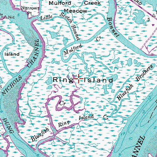 Topographic Map of Ring Island, NJ