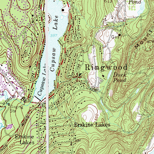 Topographic Map of Ringwood, NJ