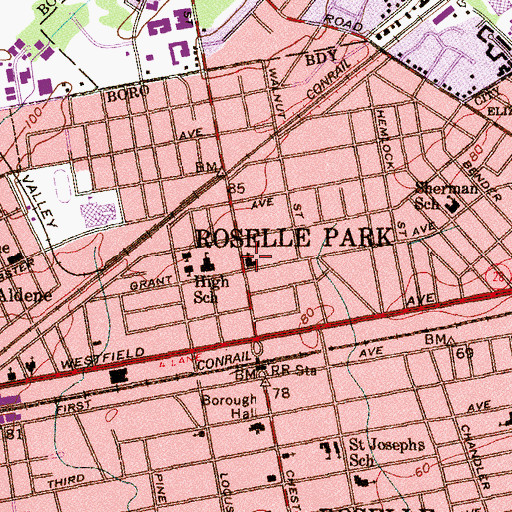 Topographic Map of Roselle Park, NJ