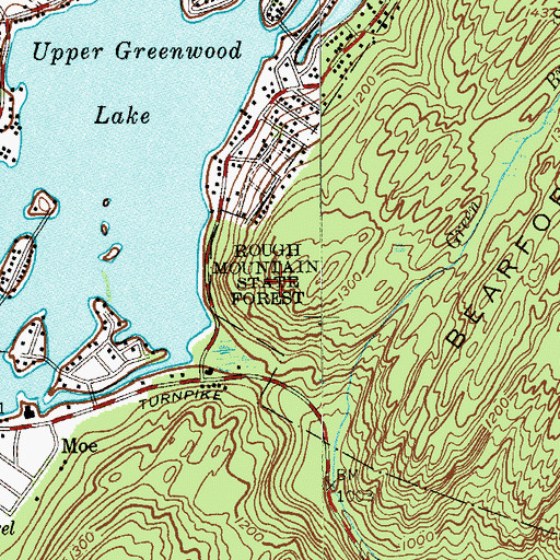 Topographic Map of Rough Mountain State Forest, NJ