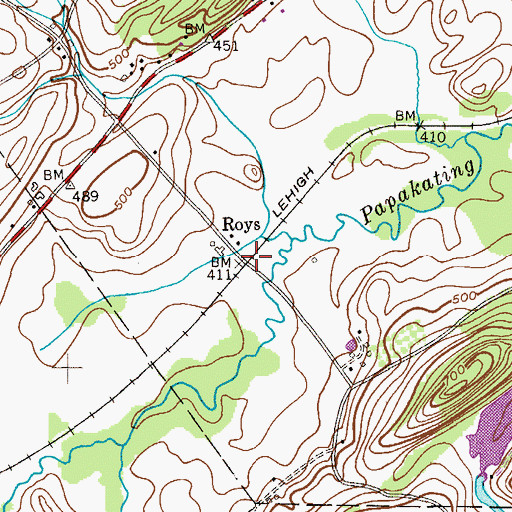 Topographic Map of Roys, NJ