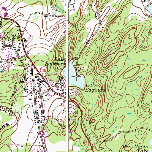 Topographic Map of Lake Saginaw, NJ