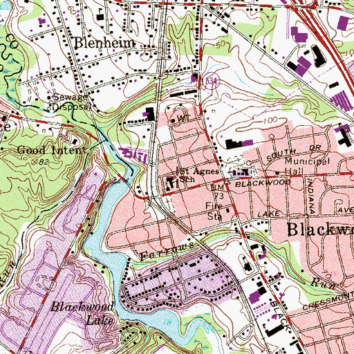 Topographic Map of Saint Agnes School, NJ