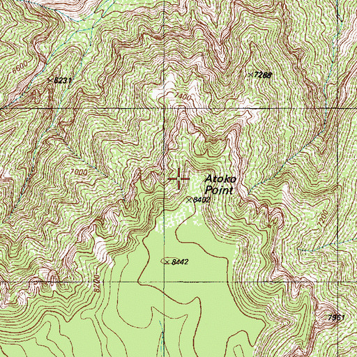 Topographic Map of Atoko Point, AZ