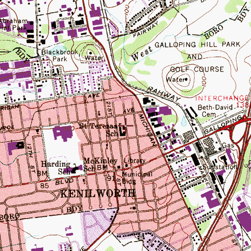 Topographic Map of Saint Theresa Elementary School, NJ
