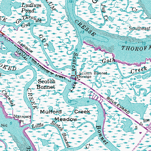 Topographic Map of Scotch Bonnet Bridge, NJ