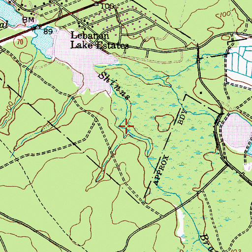 Topographic Map of Shinns Branch, NJ