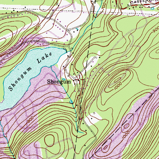 Topographic Map of Shongum, NJ