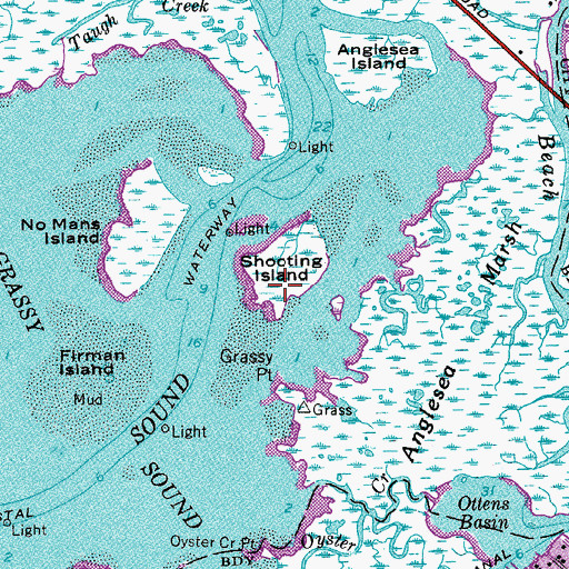 Topographic Map of Shooting Island, NJ