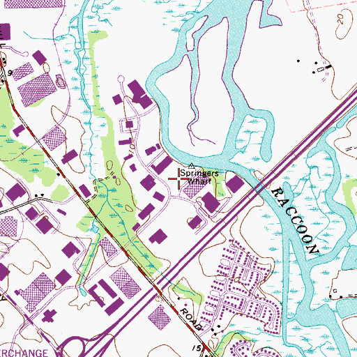 Topographic Map of Springers Wharf, NJ