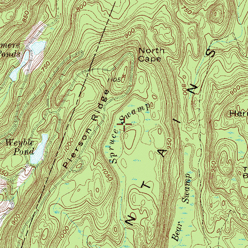Topographic Map of Spruce Swamp, NJ