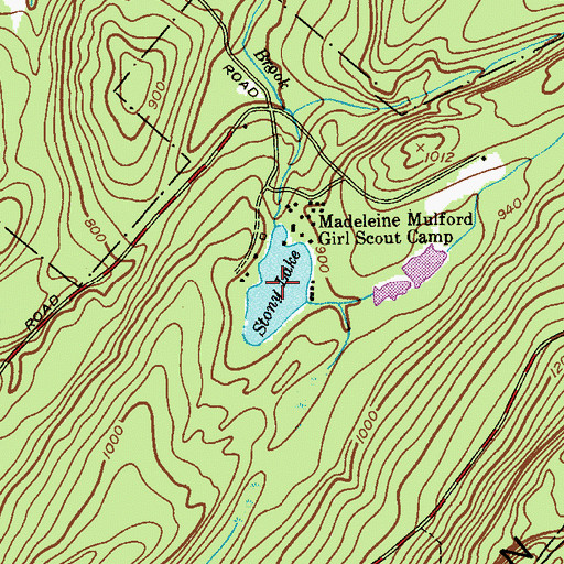 Topographic Map of Stony Lake, NJ