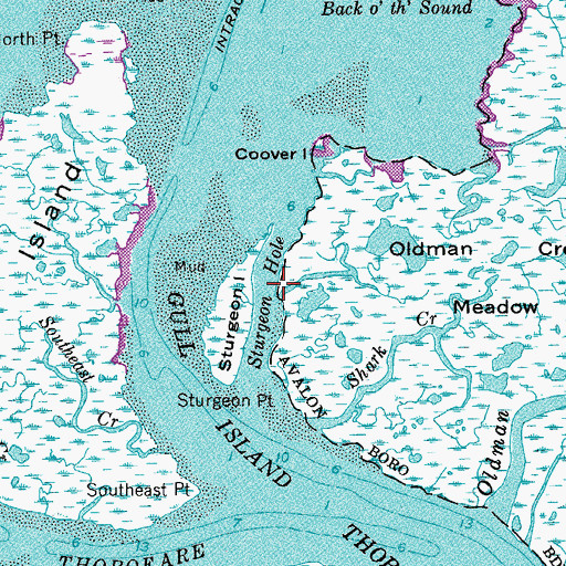 Topographic Map of Sturgeon Hole, NJ