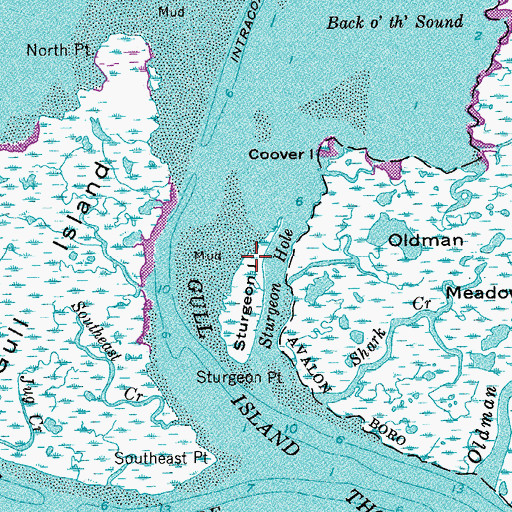 Topographic Map of Sturgeon Island, NJ