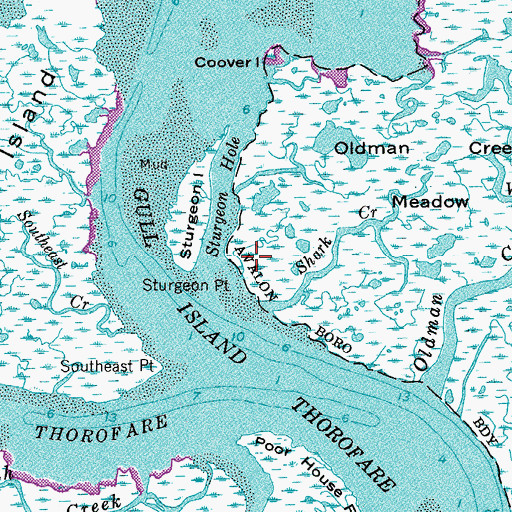 Topographic Map of Sturgeon Point, NJ