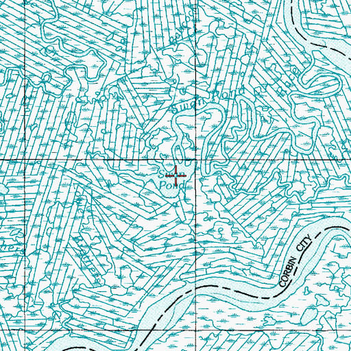 Topographic Map of Swan Pond, NJ