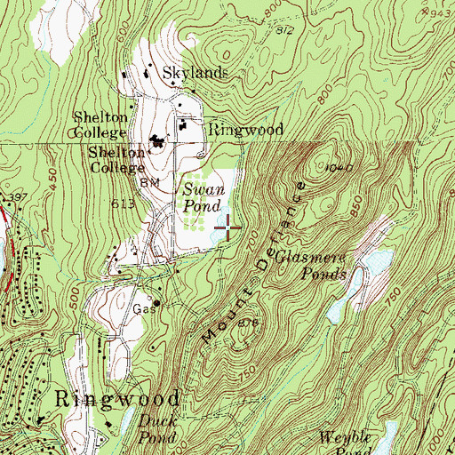 Topographic Map of Swan Pond, NJ