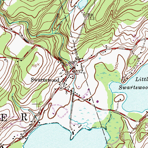 Topographic Map of Swartswood, NJ