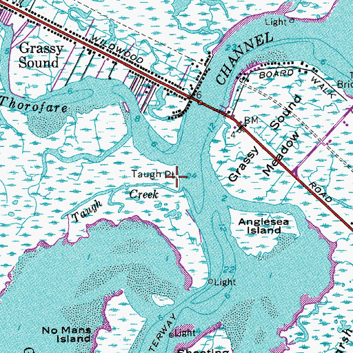 Topographic Map of Taugh Point, NJ