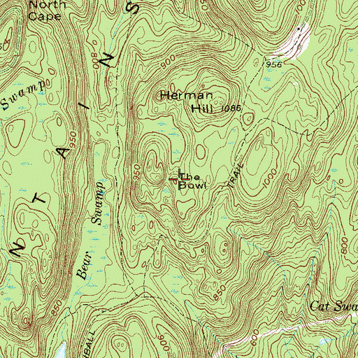 Topographic Map of The Bowl, NJ