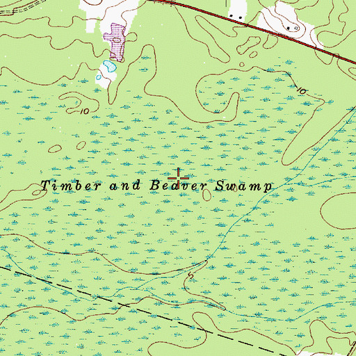 Topographic Map of Timber and Beaver Swamp, NJ