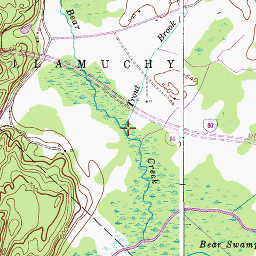 Topographic Map of Trout Brook, NJ