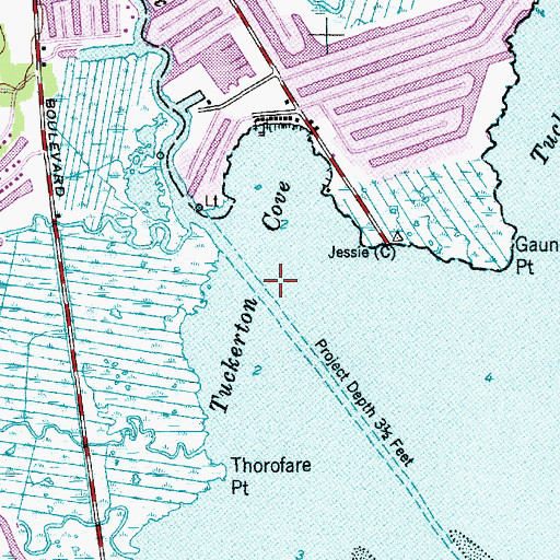 Topographic Map of Tuckerton Cove, NJ