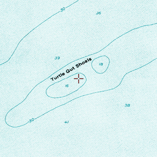 Topographic Map of Turtle Gut Shoals, NJ