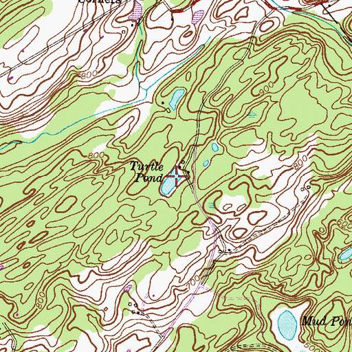 Topographic Map of Turtle Pond, NJ