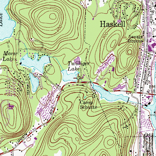 Topographic Map of Twilliger Lake, NJ