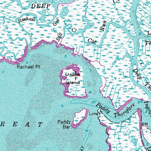 Topographic Map of Upper Island, NJ