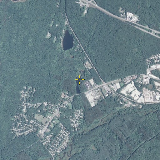Aerial/Satellite Image of Wallace Pond, NJ