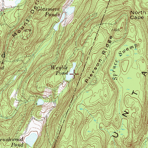 Topographic Map of Weyble Pond, NJ