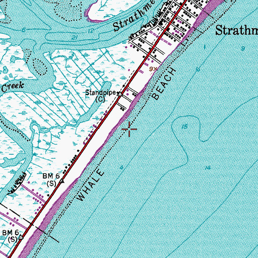 Topographic Map of Whale Beach, NJ
