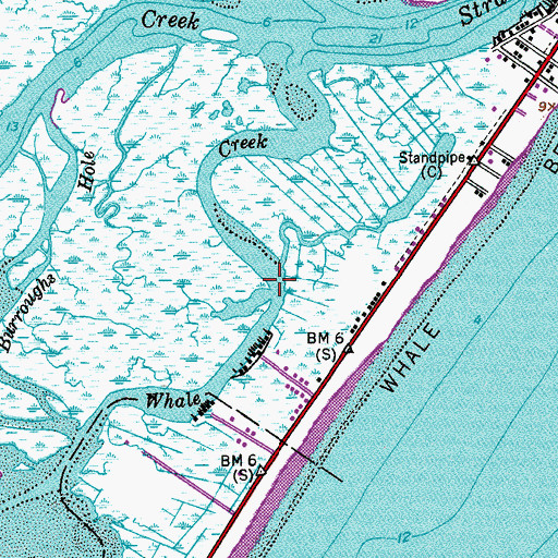 Topographic Map of Whale Creek, NJ
