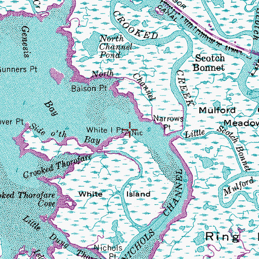 Topographic Map of White Island Point, NJ