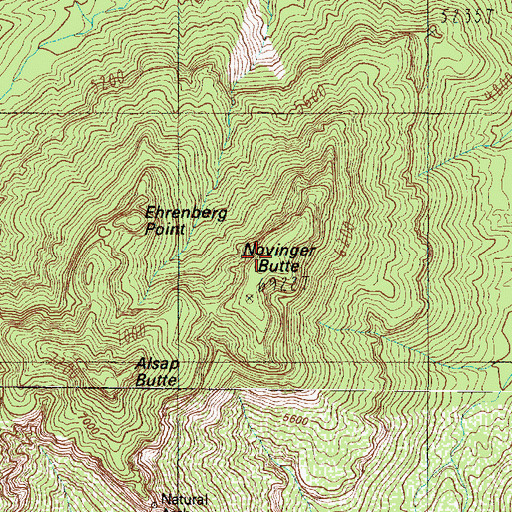 Topographic Map of Novinger Butte, AZ