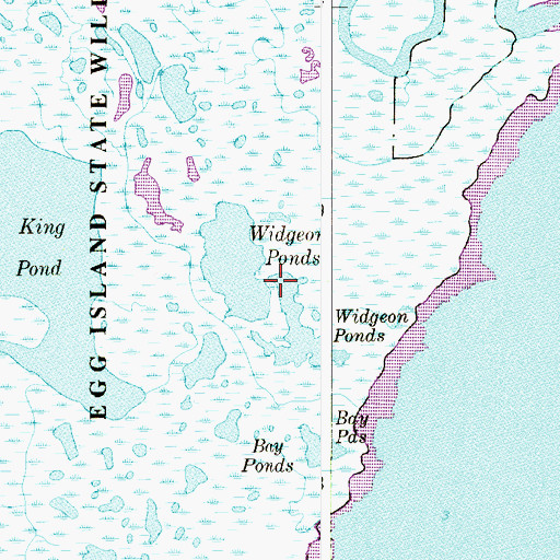 Topographic Map of Widgeon Ponds, NJ