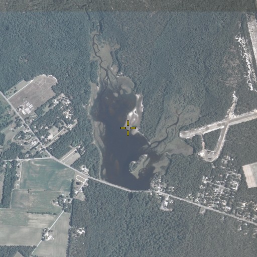 Aerial/Satellite Image of Willow Grove Lake, NJ