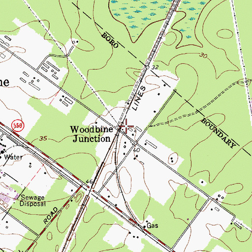 Topographic Map of Woodbine Junction, NJ