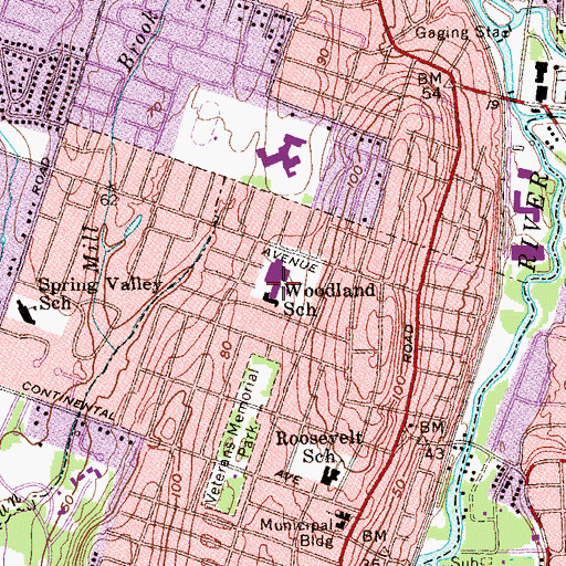 Topographic Map of Woodland School, NJ