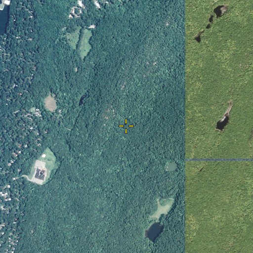 Aerial/Satellite Image of Adler Pool, NJ