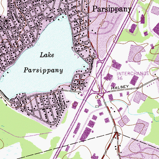 Topographic Map of Lake Parsippany, NJ