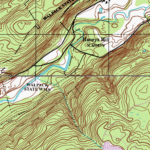 Topographic Map of Township of Walpack, NJ