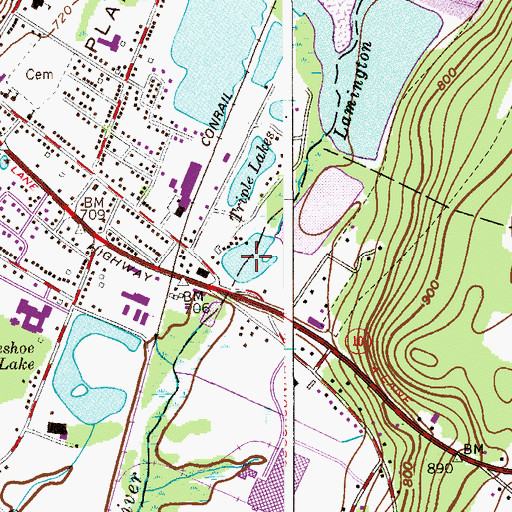 Topographic Map of Black River Pond, NJ