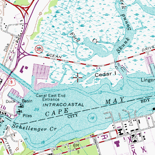 Topographic Map of Cedar Creek, NJ